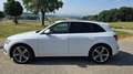 Audi SQ5 SQ5 3,0 TDI quattro DPF Tiptronic Weiß - thumbnail 5