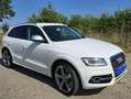 Audi SQ5 SQ5 3,0 TDI quattro DPF Tiptronic Weiß - thumbnail 2