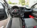 Fiat Doblo 1.6 mjt  105cv - N1 Bílá - thumbnail 10