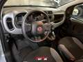 Fiat Panda 1.0 FireFly S&S Hybrid Grigio - thumbnail 10