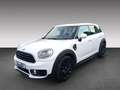 MINI One Countryman ONE Countryman One *CHILLI*LICHT+SICHT*PDC* Weiß - thumbnail 3