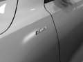 Ford Focus ST-Line 1.0 EcoBoost Hyb. 114kW Automatik.Klima.Na Argento - thumbnail 19