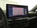 CUPRA Leon 2.0 tdi 150cv dsg - thumbnail 15