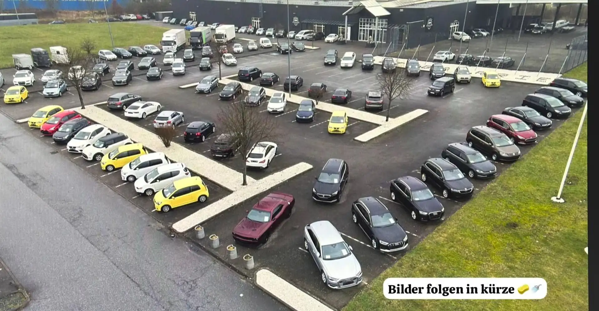 Audi SQ7 4.0 TDI Pano Sthzg B&O 7-Sitzer Raute 360° Noir - 1