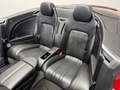 Bentley Continental GTC Nr.1 Edition by Mulliner NAIM Rot - thumbnail 18