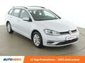 Volkswagen Golf 1.0 TSI Comfortline BlueMotion Aut. *TEMPO*PDC* Weiß - thumbnail 8