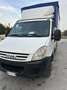 Iveco Daily centinato telonato - thumbnail 5