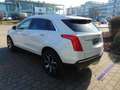 Cadillac XT5 3.6 V6 Platinum LED+Navi+SHZ+360+Bel.Sitz Weiß - thumbnail 3