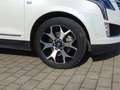Cadillac XT5 3.6 V6 Platinum LED+Navi+SHZ+360+Bel.Sitz Weiß - thumbnail 21