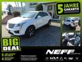Cadillac XT5 3.6 V6 Platinum LED+Navi+SHZ+360+Bel.Sitz Weiß - thumbnail 1