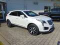 Cadillac XT5 3.6 V6 Platinum LED+Navi+SHZ+360+Bel.Sitz Weiß - thumbnail 5