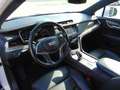 Cadillac XT5 3.6 V6 Platinum LED+Navi+SHZ+360+Bel.Sitz Weiß - thumbnail 10