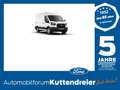 Ford Transit Kasten Trend 2.0I 350 L3 H3 PDC*CAM*SYNC 4 Blanc - thumbnail 1
