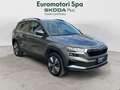 Skoda Karoq Karoq 2.0 tdi evo Executive 115cv dsg Grigio - thumbnail 7