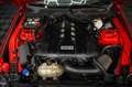 Ford Mustang Shelby GT 500 5.0 V8 Performance GRAIL Rot - thumbnail 39