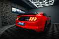Ford Mustang Shelby GT 500 5.0 V8 Performance GRAIL Rot - thumbnail 15