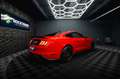 Ford Mustang Shelby GT 500 5.0 V8 Performance GRAIL Rot - thumbnail 14