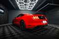 Ford Mustang Shelby GT 500 5.0 V8 Performance GRAIL Rot - thumbnail 18