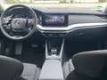 Skoda Octavia Octavia 2.0 TDI DSG MTRIX+STHZG+3.ZONE Klima+220V Blau - thumbnail 8