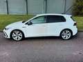 Volkswagen Golf GTI 245CV SOLO KM 25000 VIRTUAL FARI LED+FRECCIE DINAM Bianco - thumbnail 8