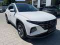 Hyundai TUCSON 1.6 T-GDI Prime Matrix 4xSHZ ACC AUT Kam. Weiß - thumbnail 2