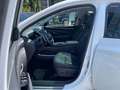 Hyundai TUCSON 1.6 T-GDI Prime Matrix 4xSHZ ACC AUT Kam. Weiß - thumbnail 10