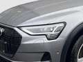 Audi e-tron 50 quattro Connect+VirtualCockpit+Ambiente-Lichtpa Grau - thumbnail 5