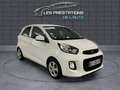 Kia Picanto II 1.0 66ch Active 5p Bianco - thumbnail 3