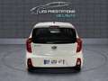 Kia Picanto II 1.0 66ch Active 5p Bianco - thumbnail 7