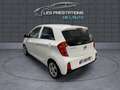 Kia Picanto II 1.0 66ch Active 5p Bianco - thumbnail 5