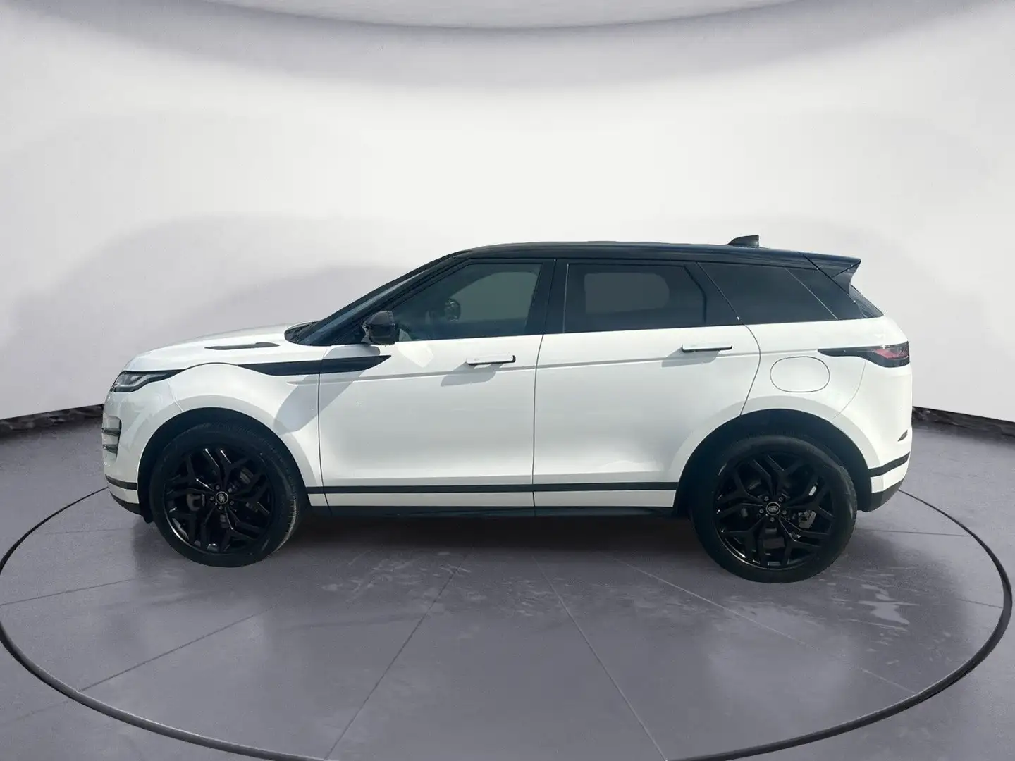 Land Rover Range Rover Evoque P300e R-DYNAMIC SE 20 Zoll Bl Weiß - 2