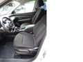 Hyundai TUCSON 1.6 Mild-Hybrid 2WD Automatik Weiß - thumbnail 10