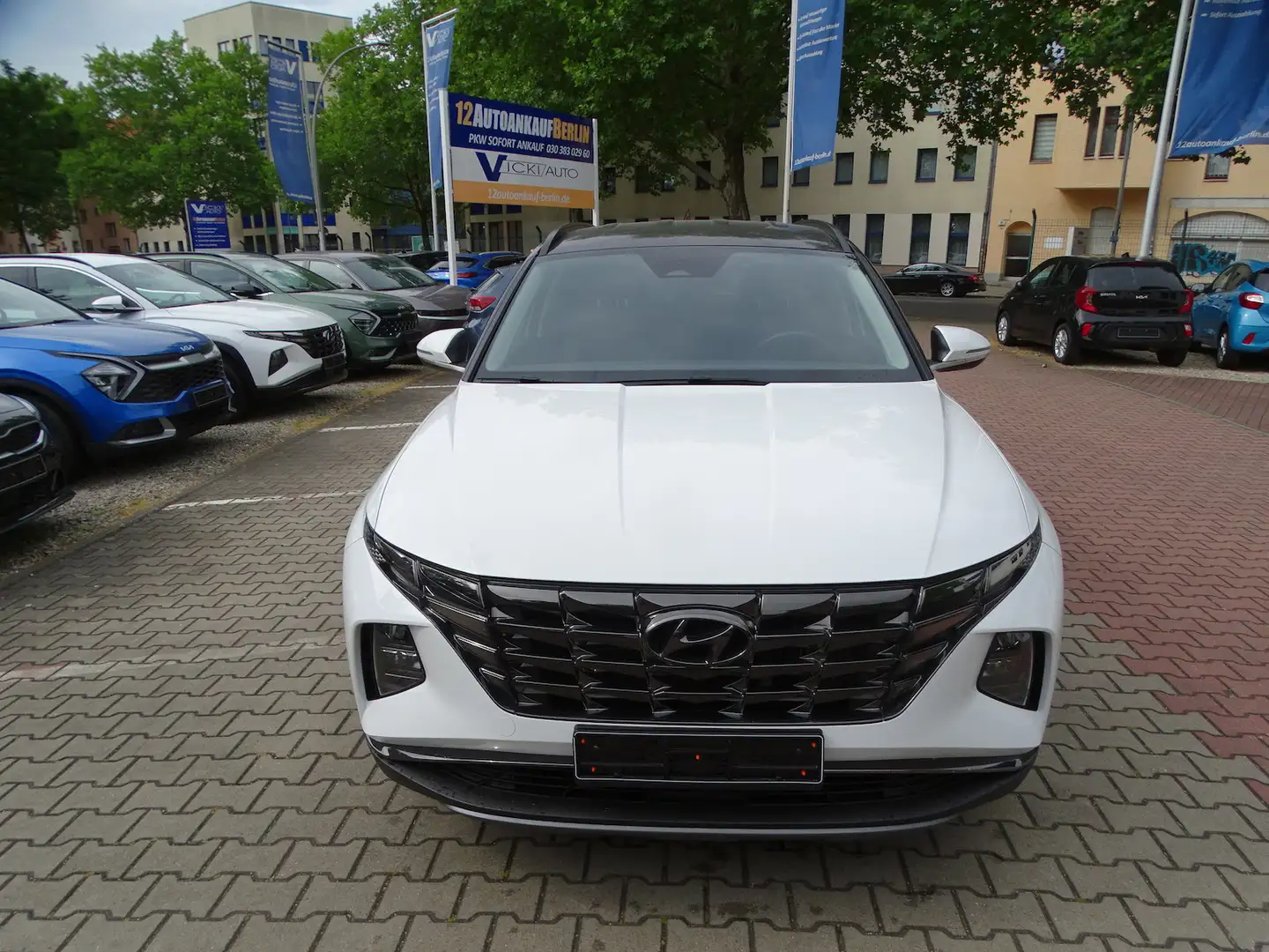 Hyundai TUCSON 1.6 Mild-Hybrid 2WD Automatik Weiß - 2