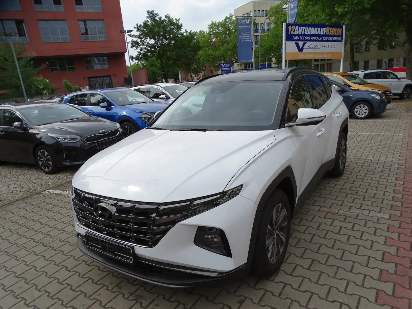 Hyundai TUCSON 1.6 Mild-Hybrid 2WD Automatik Weiß - 1