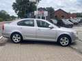 Skoda Octavia 1.6 CRTDi*1.Prop*Clim*Navi*Sieg Chauf*Ve*Re*Vc*Ja* Gris - thumbnail 7