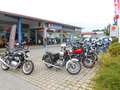 Royal Enfield Classic CLASSIC 350 neues Modell Euro5+ sofort Verde - thumbnail 4