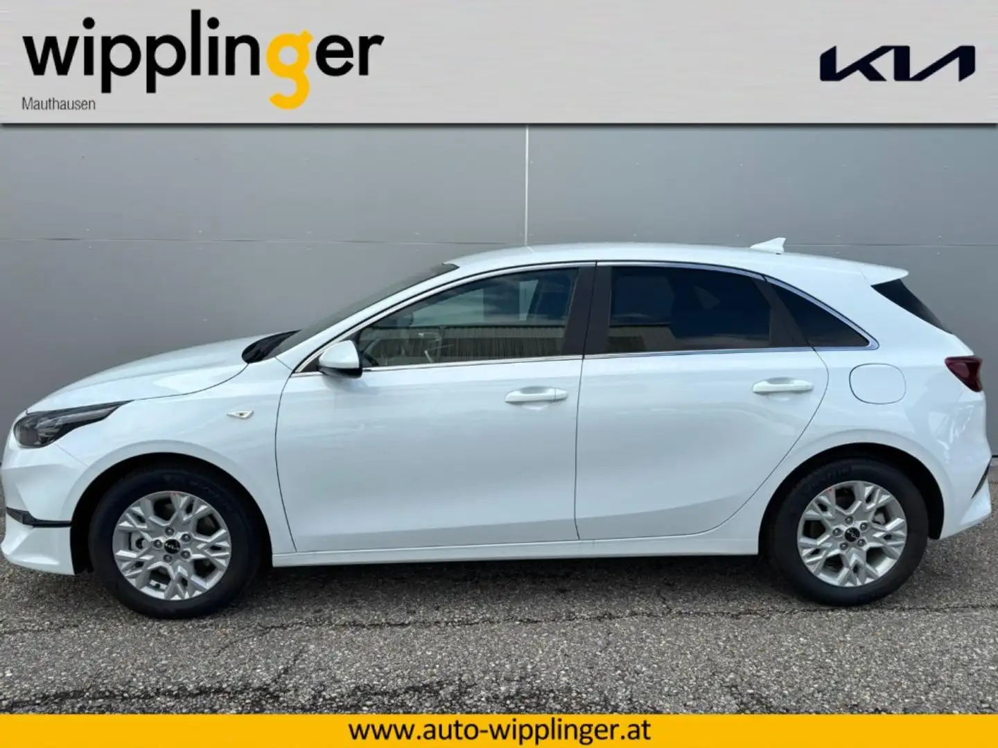 Kia Ceed / cee'd CEED/SILBER/UVO/1.5 TGDI/MT6/140 LP.: € 27.340,00 Weiß - 2