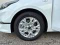 Kia Ceed / cee'd CEED/SILBER/UVO/1.5 TGDI/MT6/140 LP.: € 27.340,00 Weiß - thumbnail 19