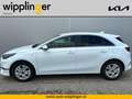 Kia Ceed / cee'd CEED/SILBER/UVO/1.5 TGDI/MT6/140 LP.: € 27.340,00 Weiß - thumbnail 2