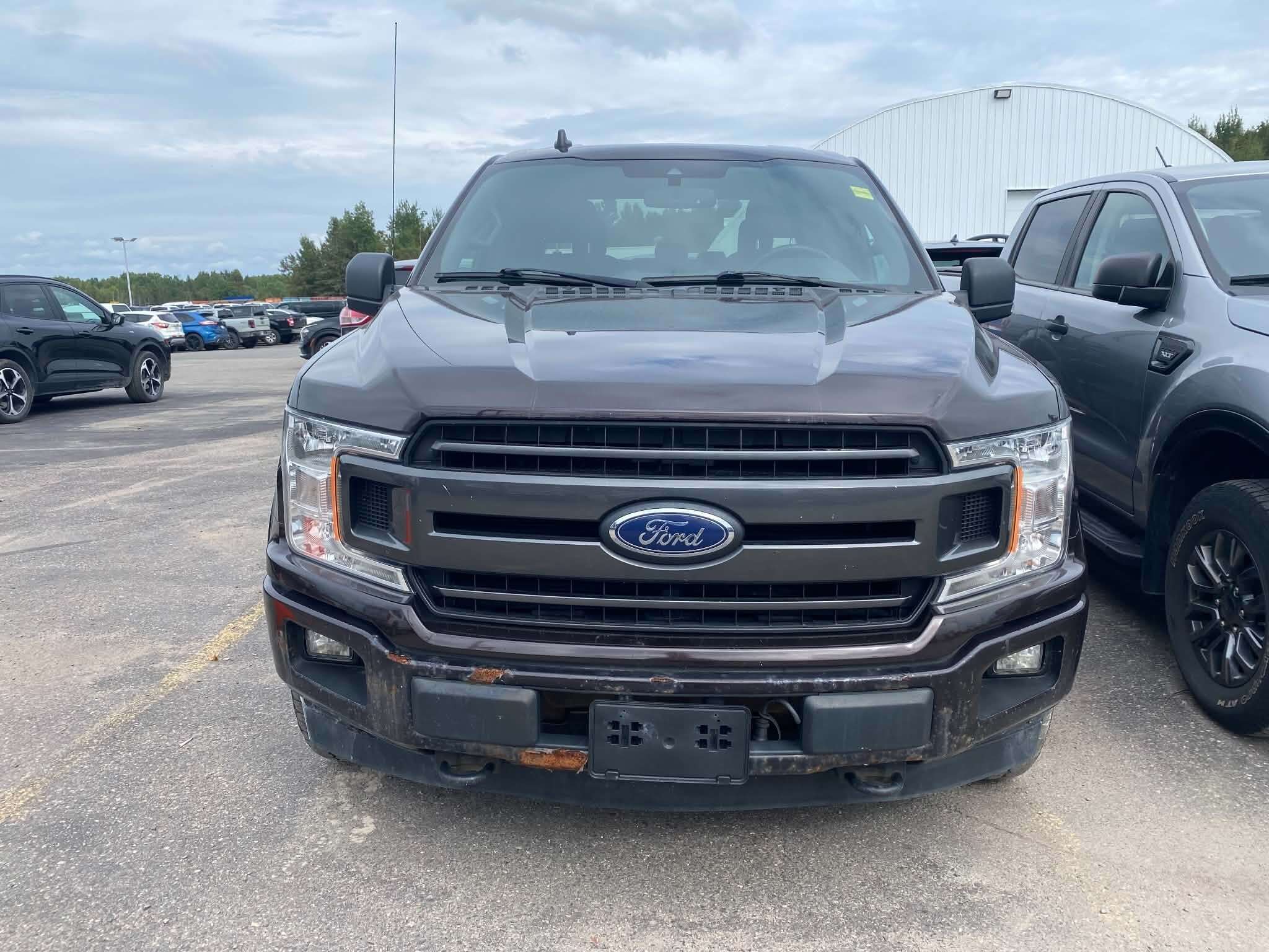 2019 Ford F-150 XLT — снимка 1