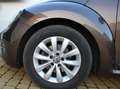 Volkswagen Beetle Cabrio 1.2 TSI DSG Design Toffeebraun Metallic Braun - thumbnail 17