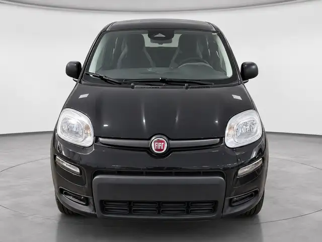 Fiat Panda view 2