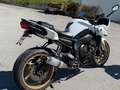 Yamaha FZ 8 S Inspektion NEU vom Händler+Gewährleistung Weiß - thumbnail 7