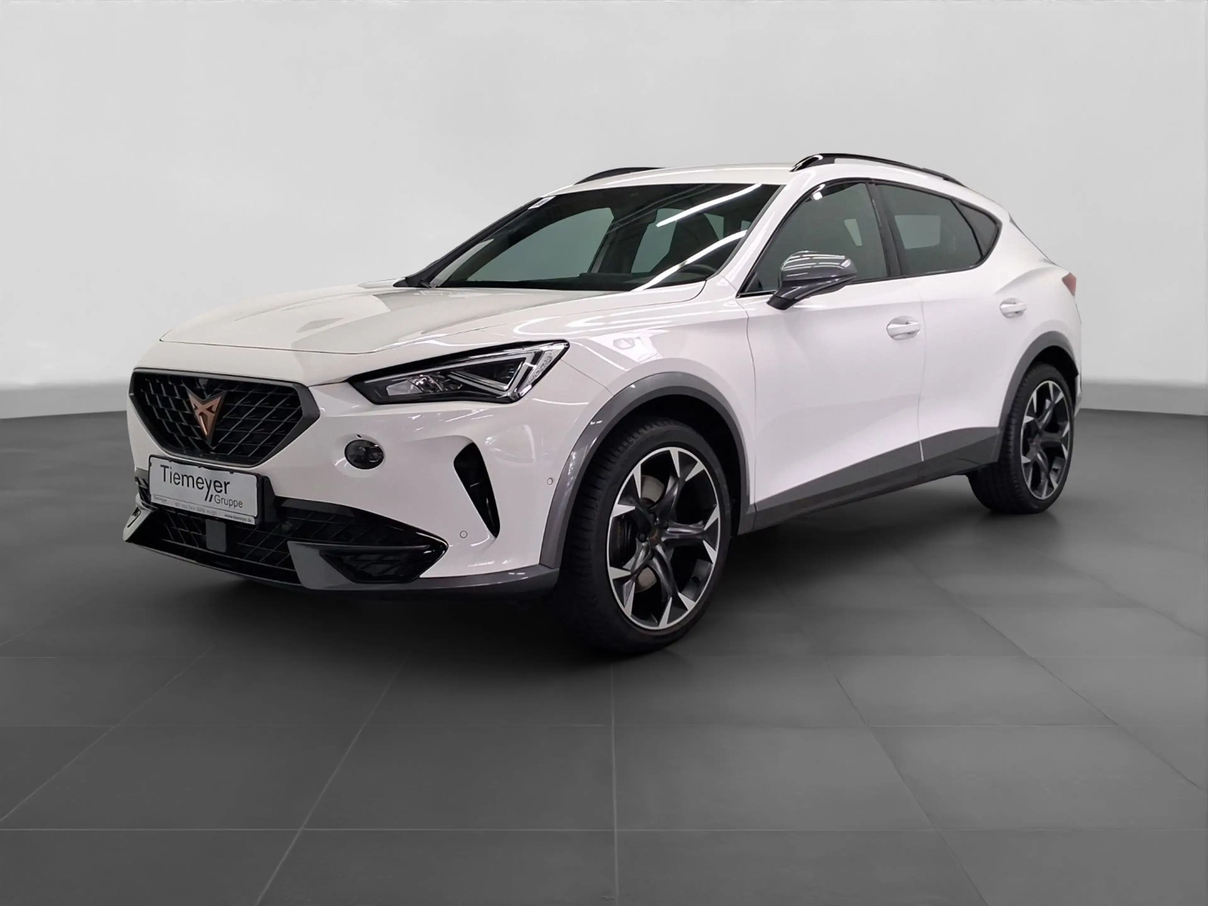 CUPRA Formentor 2.0 TSI DSG 4D VZ PDC+eKLAPPE DCC LM19 — photo 2
