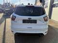 Ford Kuga ST-Line Blanc - thumbnail 4