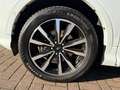 Ford Kuga ST-Line Blanc - thumbnail 14