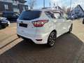 Ford Kuga ST-Line Blanc - thumbnail 3