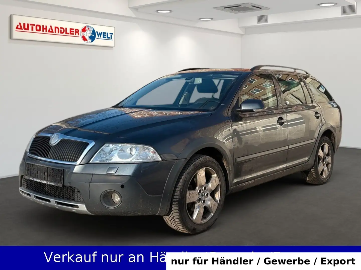 Skoda Octavia Kombi 2.0 TDI Scout 4X4 Leder SHZ PDC Grau - 1