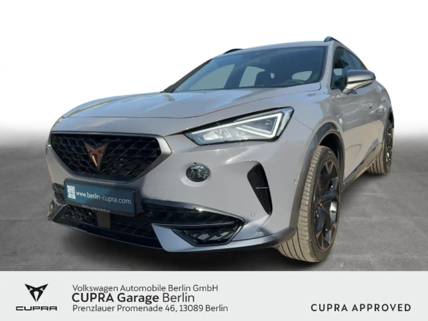 CUPRA Formentor VZ 2.0 TSI DSG 4Drive Navi LED SHZ Gris - 1
