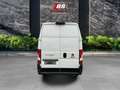 Fiat Ducato Maxi L5H3 NEW MODEL Kamera Tempom Parkass - thumbnail 6